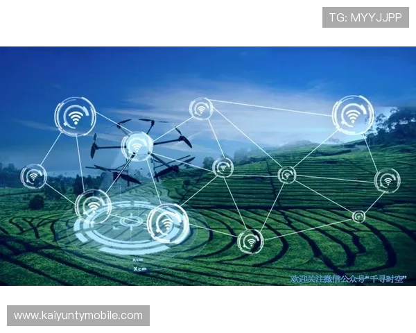 开云集团首页最新动态与投资机会分析