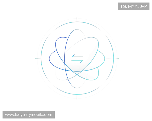 开云网站支付方式多样化及安全保障措施全面解析