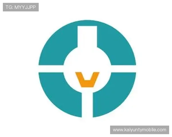 Kaiyun开云官网登录入口安全性分析与使用建议，保障玩家账号安全与顺畅登录