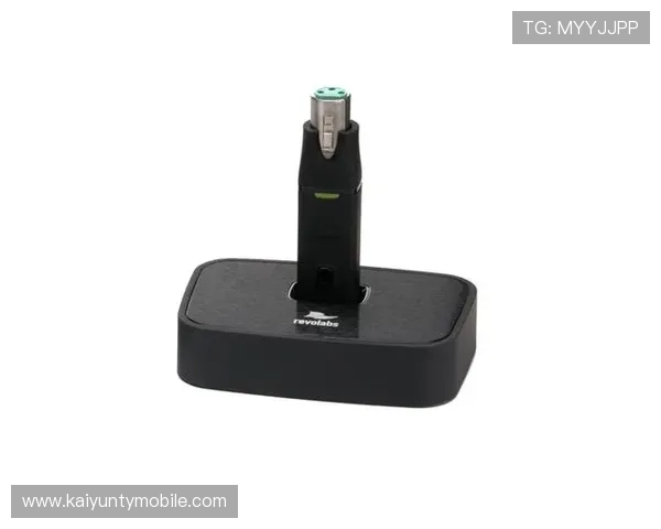 开云Kaiyunapp手机安全性分析及隐私保护措施，保障用户账号安全