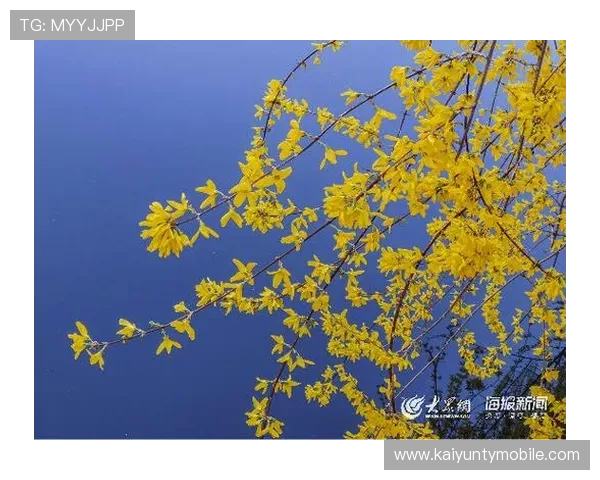 开云注册给钱吗注册流程详解以及新用户是否享有注册奖励政策